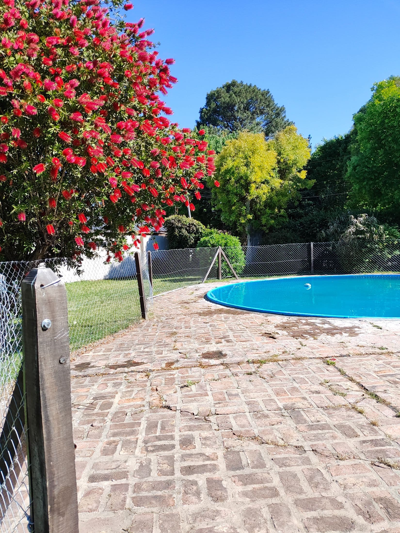 Pileta en quinta con jardín floreado