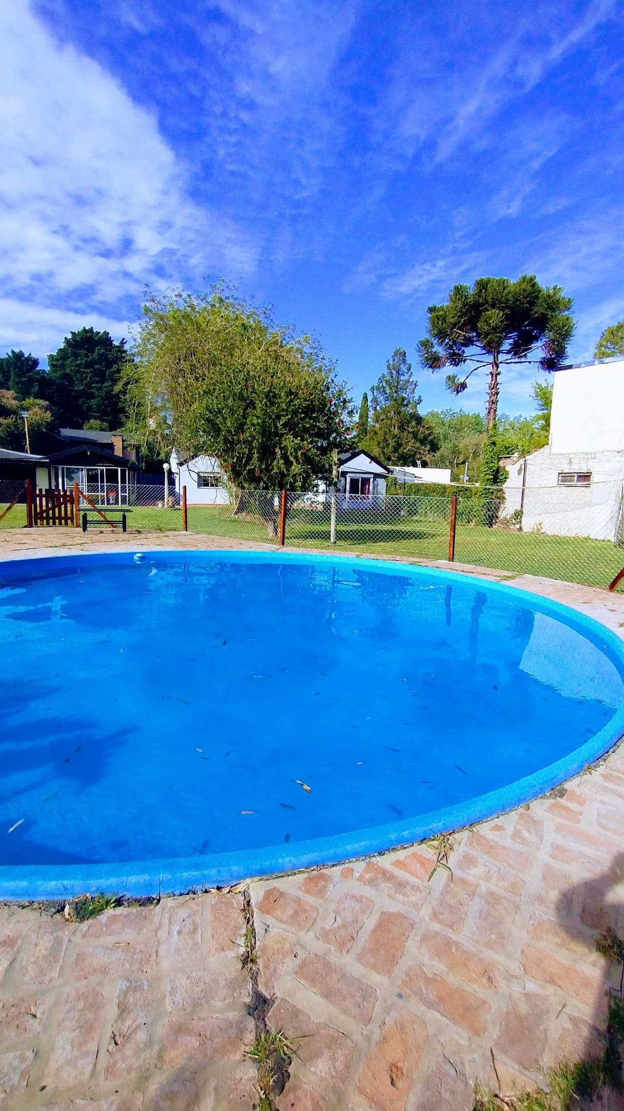 Pileta circular en quinta en alquiler